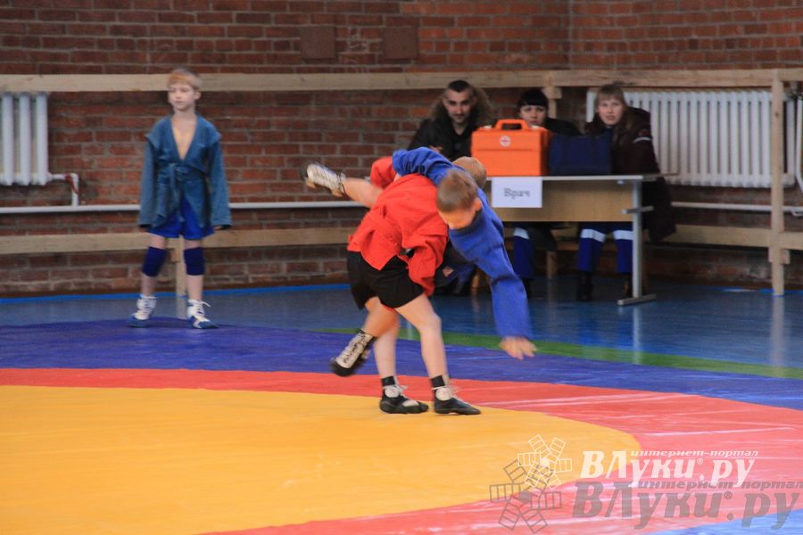 Состоялось Открытое первенство города Великие Луки по борьбе самбо