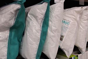 «Аскона»: новогодний сон (ФОТО, ВИДЕО)