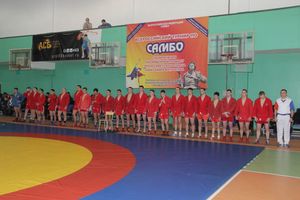 В Великих Луках прошел турнир по самбо, посвященный подвигу Александра Матросова (ФОТО)