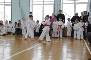 В Великих Луках прошел  турнир по Шотокан каратэ