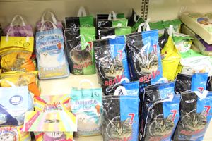 «Zooбастики»: подарите праздник своим любимцам! (ФОТО+ВИДЕО)