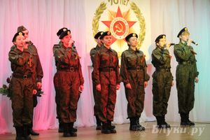 В Великих Луках состоялось вручение юбилейных медалей к 70-летию Победы (фото)