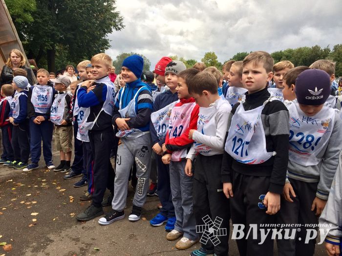 В Великих Луках стартовал Всероссийский день бега «Кросс нации-2017» (ФОТО)