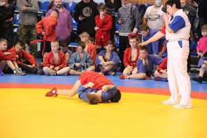 В Великих Луках проходит фестиваль (ФОТО)