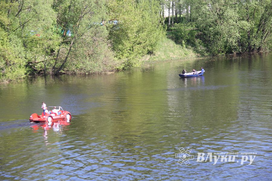 По центральному проспекту Великих Лук прошёл  «Бессмертный полк» (0+) (ФОТО)