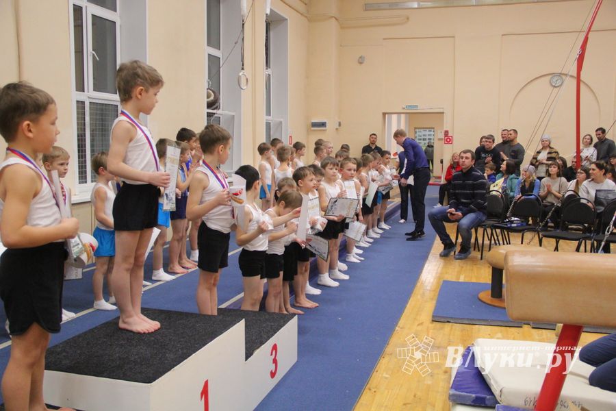 В ДЮСШ «Атлетика» прошли соревнования по спортивной гимнастике (ФОТО)