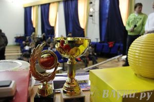 Интеллектуальное шоу "Ворошиловский стрелок"