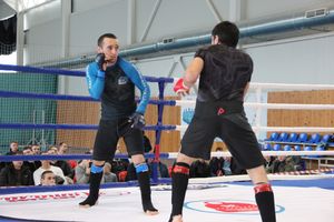 Открытый кубок по смешанному боевому единоборству ММА прошел в Великих Луках (ФОТО)