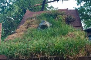 Фотофакт: сказочный дом в Великих Луках