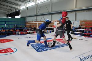 В Великих Луках прошло Первенство России по смешанному боевому единоборству (ФОТО)