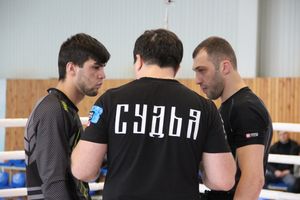 Открытый кубок по смешанному боевому единоборству ММА прошел в Великих Луках (ФОТО)