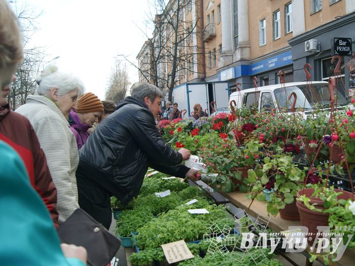 Весенняя ярмарка 2013 прошла в Великих Луках