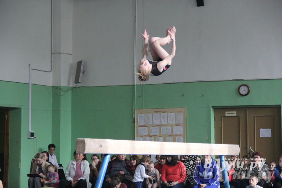 В Великих Луках прошел турнир по спортивной гимнастике (фото)