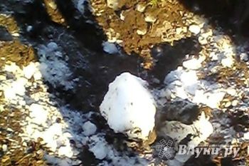 Фото с www.afanasy.biz