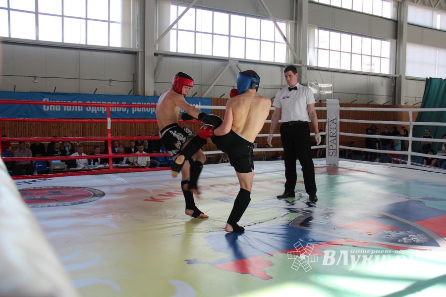 В Великих Луках прошел Кубок области по кикбоксингу (ФОТО)