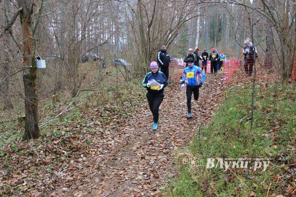 Фото с сайта vk.com