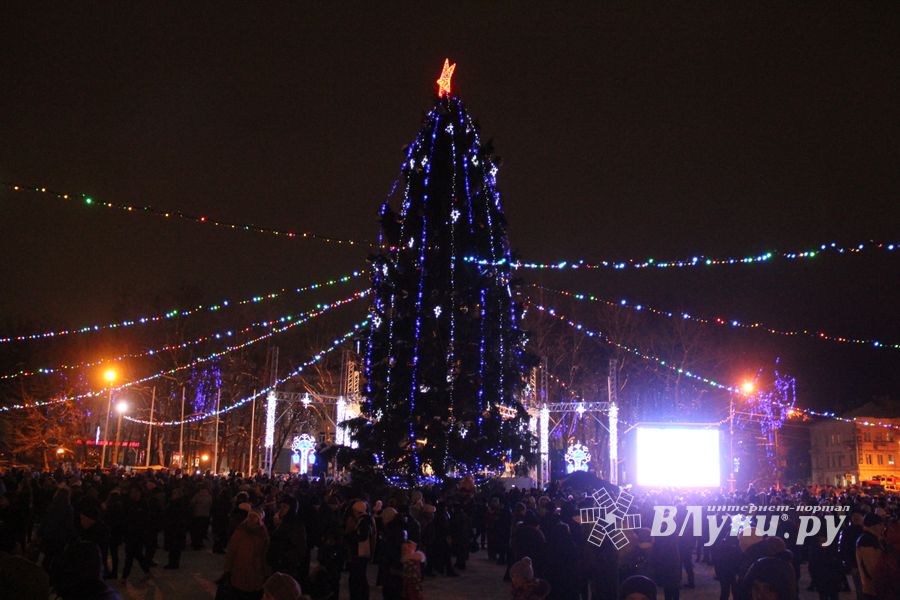 В Великих Луках зажглась новогодная ёлка (ФОТО)