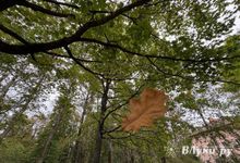 Прогноз погоды на 19 сентября в Великих Луках