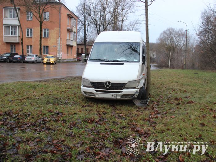 На улице Пушкина водитель врезался в дерево (ФОТО)