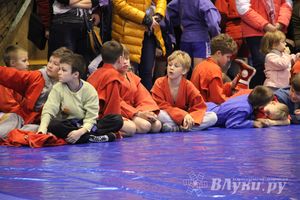 Великолучане стали первыми в общекомандном зачете турнира по самбо «Память»