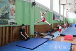 В Великих Луках состоялось Первенство по командной гимнастике (фото)