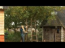 Импульс-ТВ: Дождалась сестру