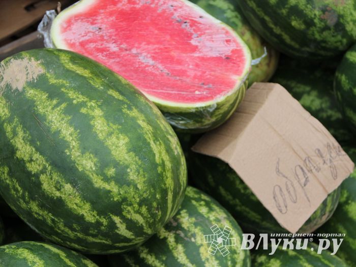 В Великих Луках проверили бахчевые (ФОТО)