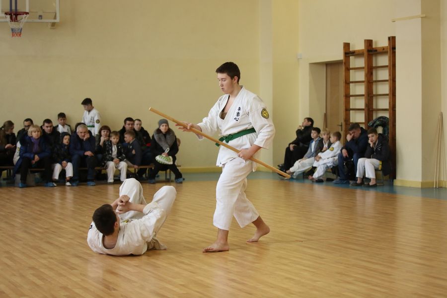 В Великих Луках прошло Первенство города по ВБЕ «КОБУДО» (ФОТО)