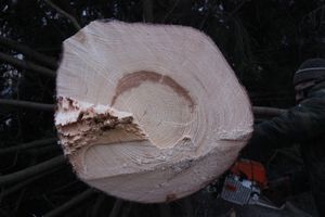 Необычное украшение сняли с главной ёлки Великих Лук (ФОТО)