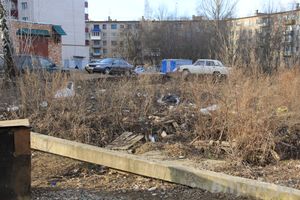 Город в ожидании субботника