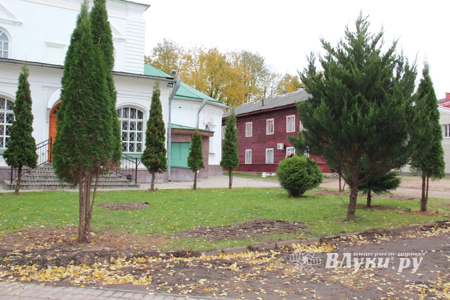 Куда исчезли пихты у Свято-Вознесенского собора в Великих Луках