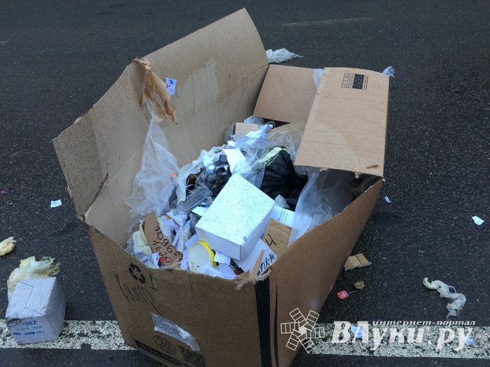 Неопознанный валяющийся объект «украсил» дорогу в Великих Луках.