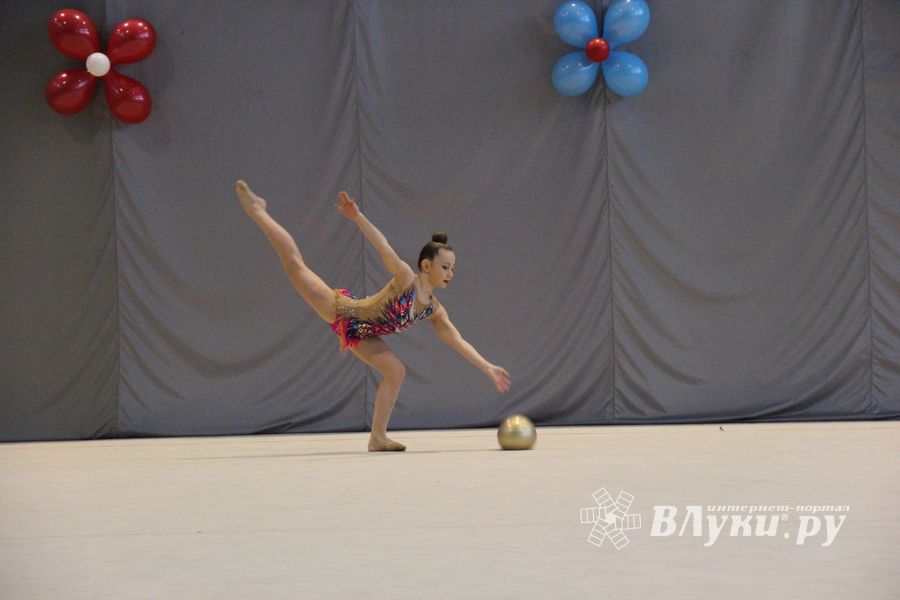В Великих Луках прошли соревнования на Кубок Псковской области по художественной гимнастике (ФОТО)