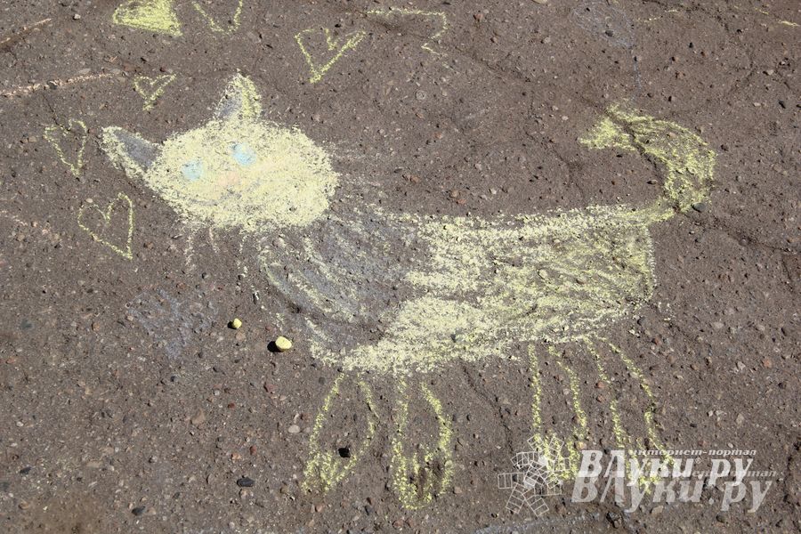 День защиты детей отпраздновали В Великих Луках (фото)