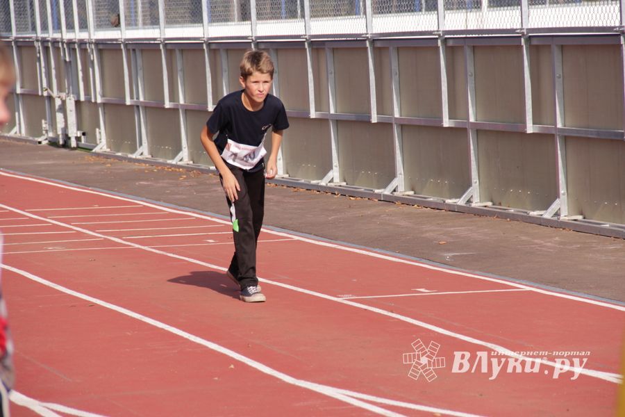 В Великих Луках состоялись соревнования «Шиповка юных» (фото)