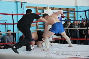 Чемпионат Псковской области по ММА
