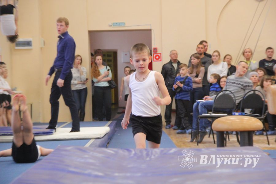 В ДЮСШ «Атлетика» прошли соревнования по спортивной гимнастике (ФОТО)