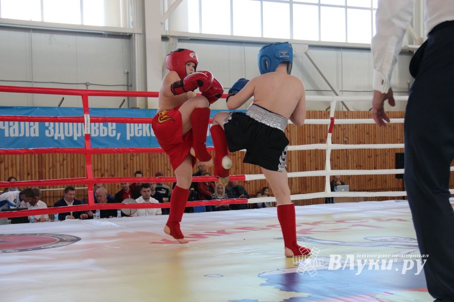 В Великих Луках прошел Кубок области по кикбоксингу (ФОТО)