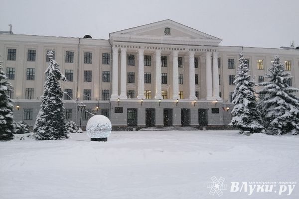 Дистанционные вузы Пскова: преимущества и критерии выбора