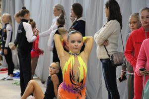 Великолучане стали призерами открытого турнира по художественной гимнастике (ФОТО)