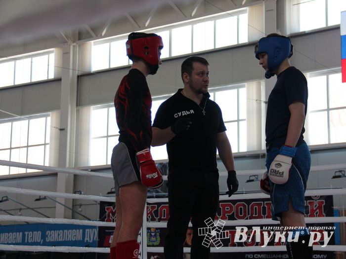 В Великих Луках проходит открытый кубок по смешанному боевому единоборству ММА (ФОТО) (12+)