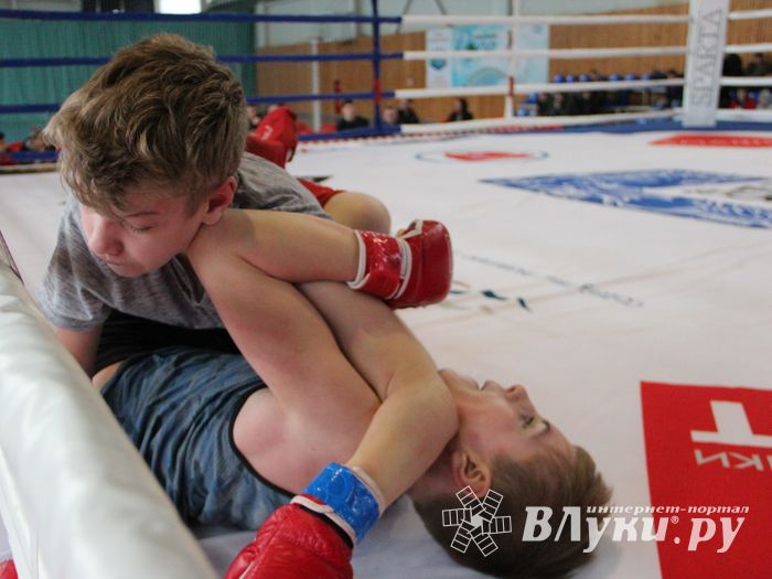 Открытый кубок по смешанному боевому единоборству ММА прошел в Великих Луках (ФОТО)