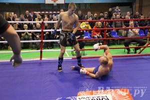 В Великих Луках прошел межрегиональный Открытый Кубок по смешанному боевому единоборству (фото)