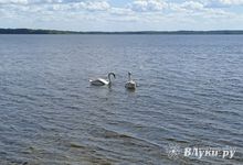 Сегодня в великолучанам обещают переменную облачность