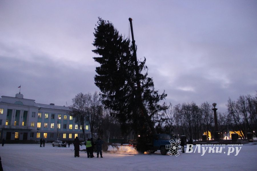 Новогодняя ёлочка приехала наконец в Великие Луки (ФОТО)