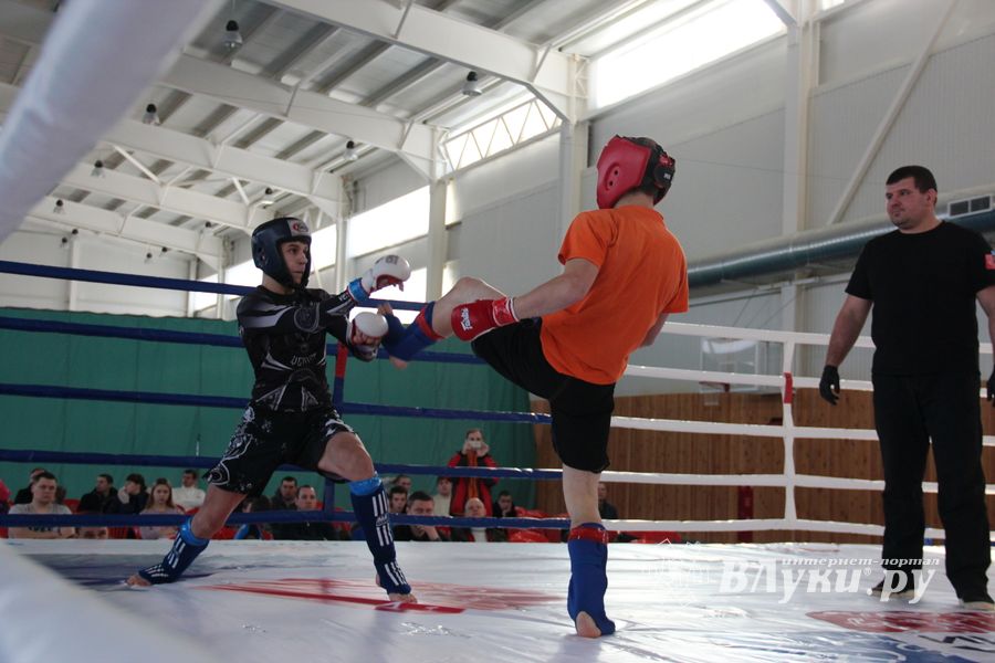 В Великих Луках проходит открытый кубок по смешанному боевому единоборству ММА (ФОТО) (12+)