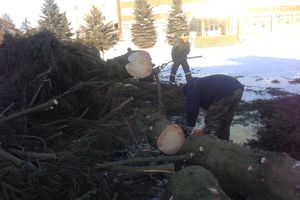 Главная ёлка города попрощалась с великолучанами (ФОТО)