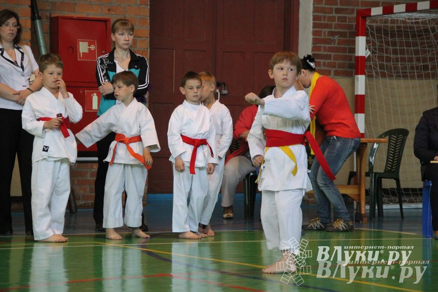 Великолучане стали победителями турнира по каратэ «Неприкосновенный запас, дети — Отчизны 2015» (фото)