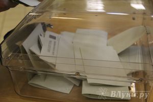 В Великих Луках прошла игра «Молодой политик» (фото)