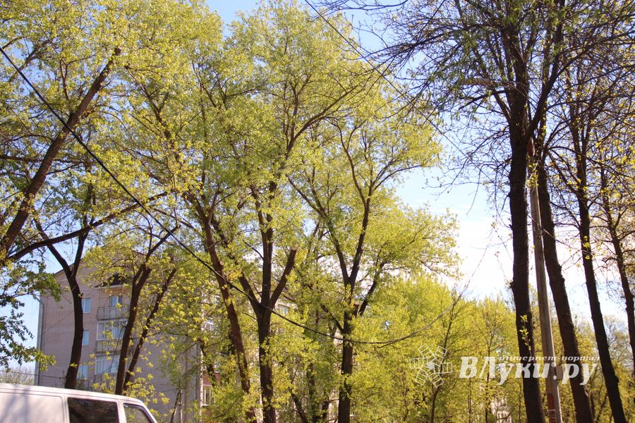 Авария устранена, движение по проспекту Гагарина возобновлено (ФОТО)